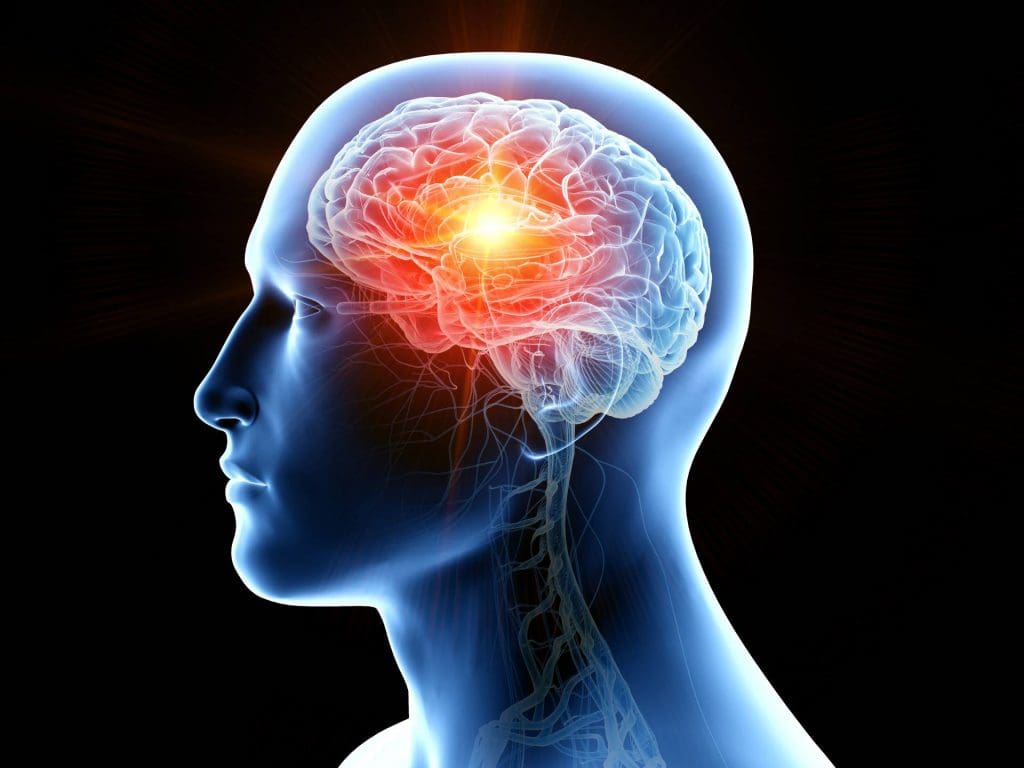 transparent head with illuminated brain